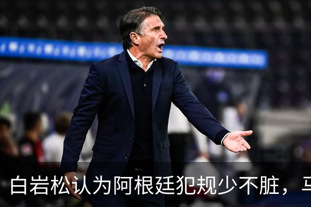 白岩松认为阿根廷犯规少不脏，马宁：我们更多是看犯规性质
